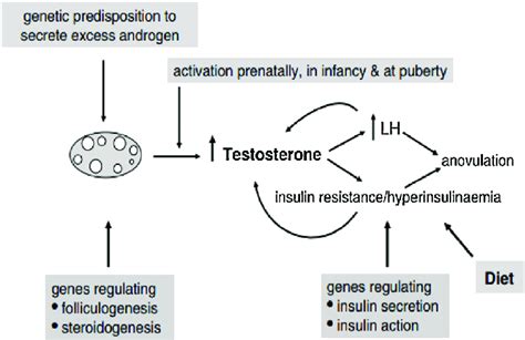 A Defect In The Pituitary Axis Elates Testosterone And Lh It Also