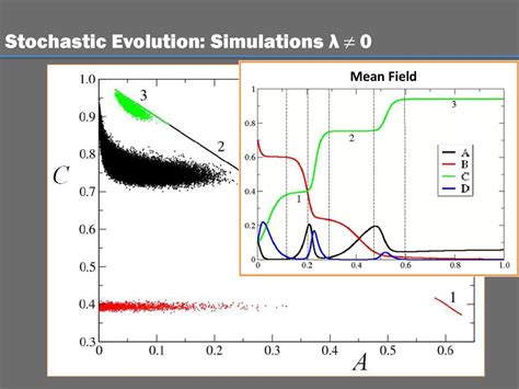 Stochastic Evolution Of Four Species In Cyclic Competition Ppt Download