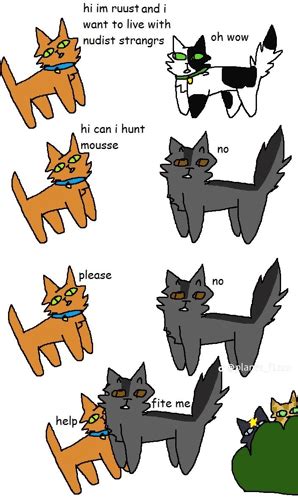 Warrior Cats Meme Warrior Cats Discover Share Gifs