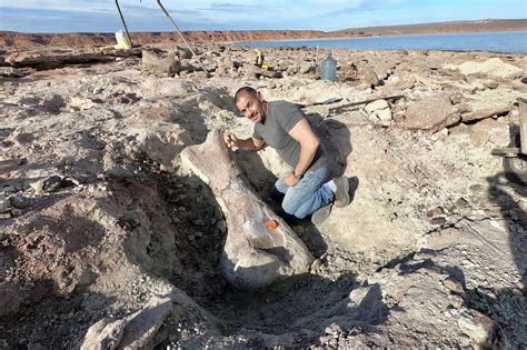 Hallaron Restos De Un Dinosaurio Gigante En Neuquén El Diario De Carlos Paz