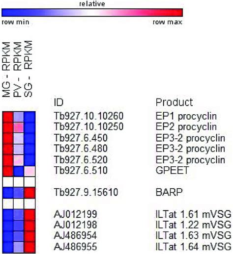 Major Changes In Transcript Abundance During T Brucei Development In