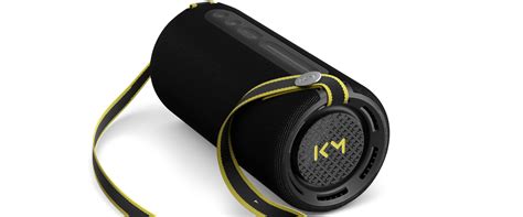 hear pro black loewe