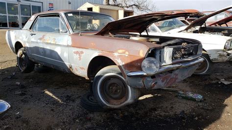 1966 Ford Mustang Coupe Is Junkyard Treasure