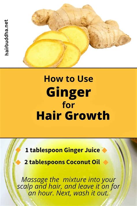 Ginger For Hair Growth Can Help Reduce DHT Hair Buddha