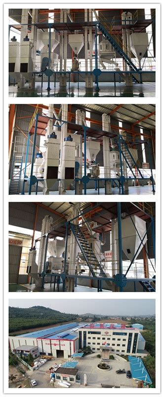 Shandong Rotex Machinery Coltd Rotex Feed Pellet Production Line