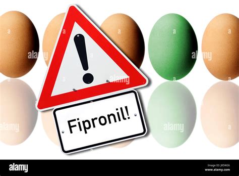 Eggs Contaminated With Fipronil Stock Photo Alamy