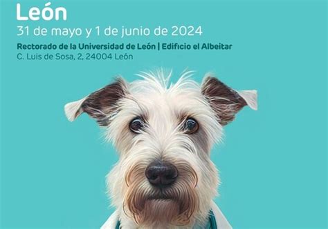 León acoge el 31 de mayo y 1 de junio el II Congreso autonómico de