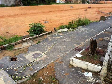 G1 Homem é Executado A Tiros No Morro Da Liberdade Em Manaus