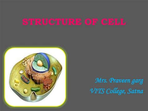 Structure Of Cell Ppt