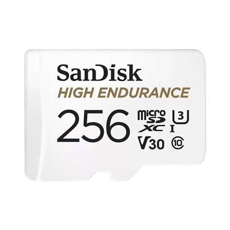 256 Gb Micro Sd Card ไมโครเอสดีการ์ด Sandisk High Endurance Microsd Card Sdsqqnr 256g Gn6ia