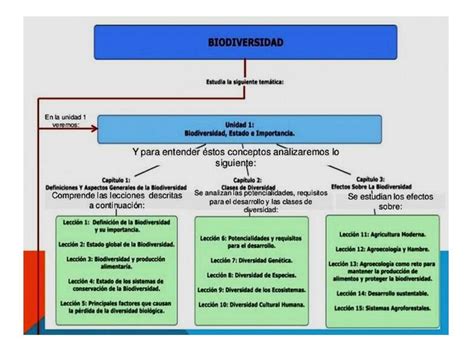 Cuadro Sinóptico De La Biodiversidad Udocz