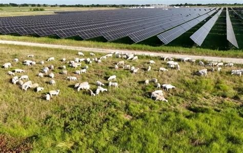 Cu Les Son Los Tama Os Est Ndar De Los Paneles Solares Fotovoltaicos