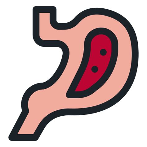 Stomach Generic Color Lineal Color Icon