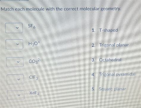 [solved] Thank You Match Each Molecule With The Correct Molecular Course Hero