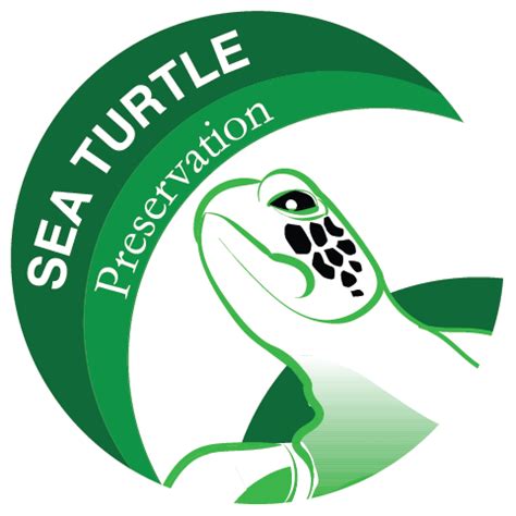 Sea Turtle Logo on Behance