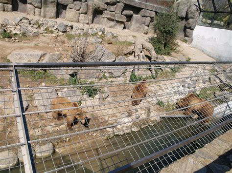 Descubriendo El Zoo De CÓrdoba Pacommunity