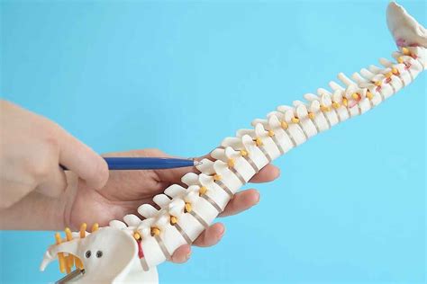 Slipped Discs And Chiropractic Care Upper Cervical Carson County