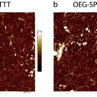 Figure S9 AFM Height Images Of Spin Cast Films Of Neat PgBTTT And