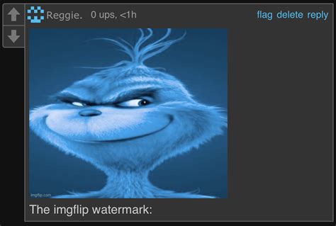 The Imgflip Watermark Blank Template Imgflip