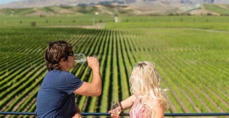 Marlborough: Full-Day Wine and Seafood Tour with Cruise | GetYourGuide