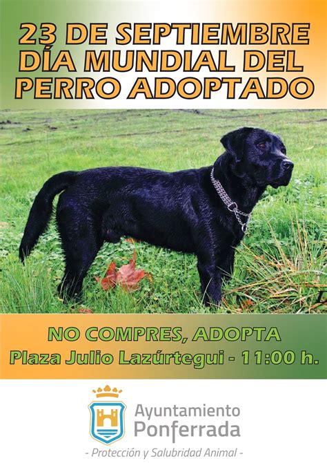 De Septiembre D A Mundial Del Perro Adoptado Coalici N Por Ponferrada