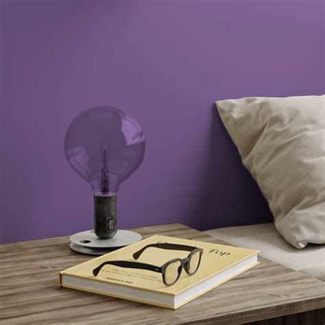 Perfectly Purple T15 210.7 Paint Colour - Taubmans Paint