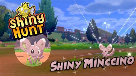 LIVE SHINY MINCCINO after 1354 encounters in Pokémon Sword YouTube