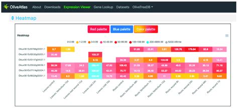 Heatmap Visualization Of The Expression Viewer In Oliveatlas