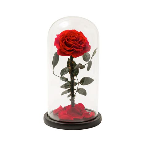 Eternal Rose In A Glass Dome Red Rose The Giftery Co