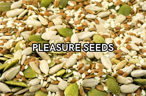 Pleasure Seeds Fábio Hotmart