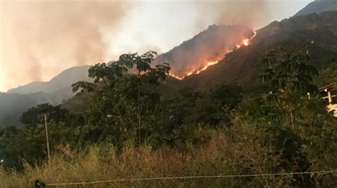 Un Nuevo Incendio Forestal Se Registró En El Parque Henri Pittier