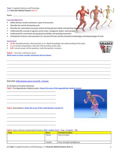 A Level Pe Edexcel Spec 2016 11 Muscular Skeletal System Part 1