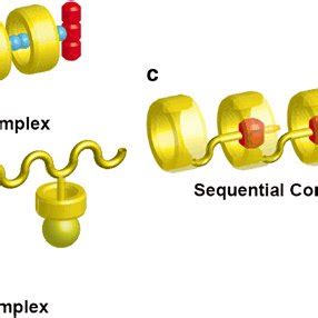 A Design Of Self Healing Materials With Polyrotaxane PRx Based On