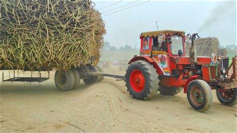 Old Solid Tractor Tractors Pulling Sugarcane Loaded Trolley In Punjab