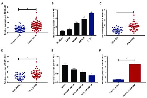 Increased Expression Of ROR1 AS1 In Colon Cancer Tissues And Cells A