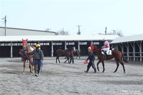 門別競馬場で2回目の競走能力･発走調教検査 馬産地ニュース 競走馬のふるさと案内所