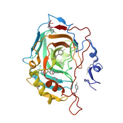 RCSB PDB 8PHL Human Carbonic Anhydrase II Containing 4