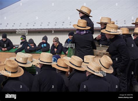 The Crowd At A Typical Amish Festival Called A Mud Sale Lancaster