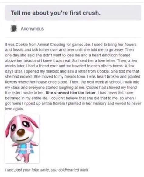 Just seen this on Facebook, absolutely dying. (Not OC) : r/AnimalCrossing