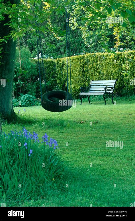 Tree with old tyre swing on lawn Stock Photo - Alamy