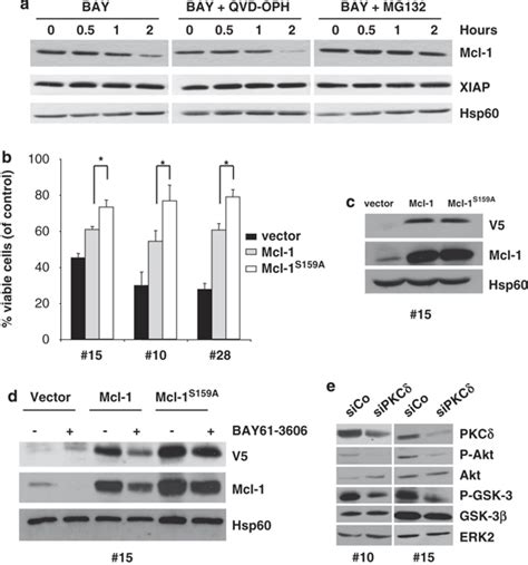 Proteasome Dependent Degradation Of Mcl 1 Following Syk Inhibition In