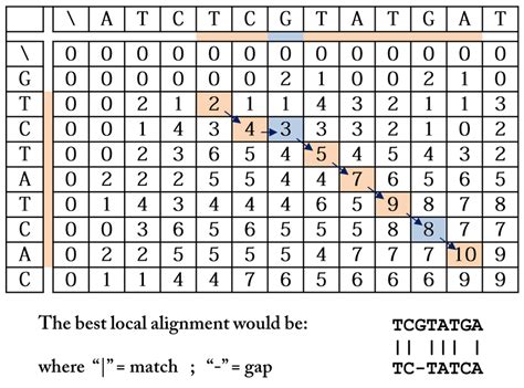 Local Alignment Using Sw Download Scientific Diagram