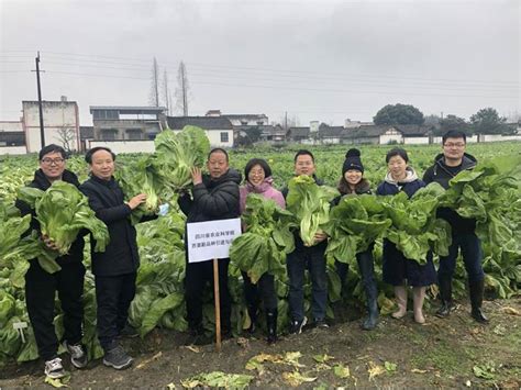 四川省农业科学院园艺研究所园艺所科技人员赴眉山持续推进中试熟化项目