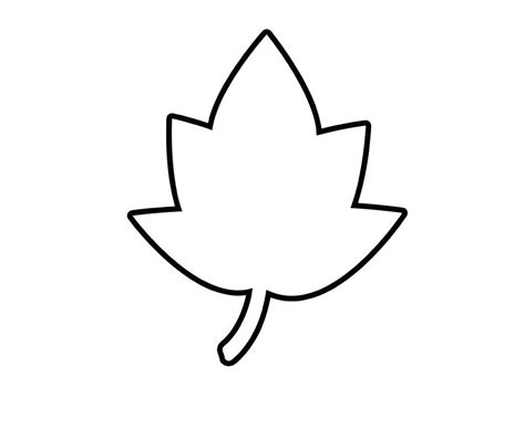 Canadian Leaf Drawing | Free download on ClipArtMag