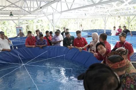 Dorong Sektor Budidaya Ikan Lele Bupati Karangasem Serahkan Bantuan