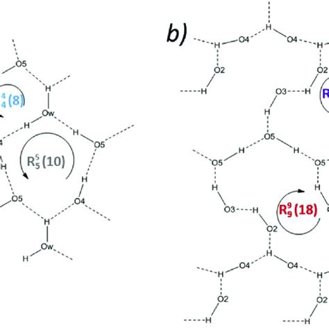 Intermolecular Hydrogen Bonding Patterns In A Crystal Structure Of