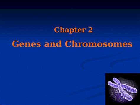 PPT Chapter 2 Genes And Chromosomes PDFSLIDE NET