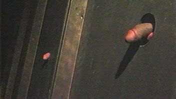 Gay Arcade Search Xnxx