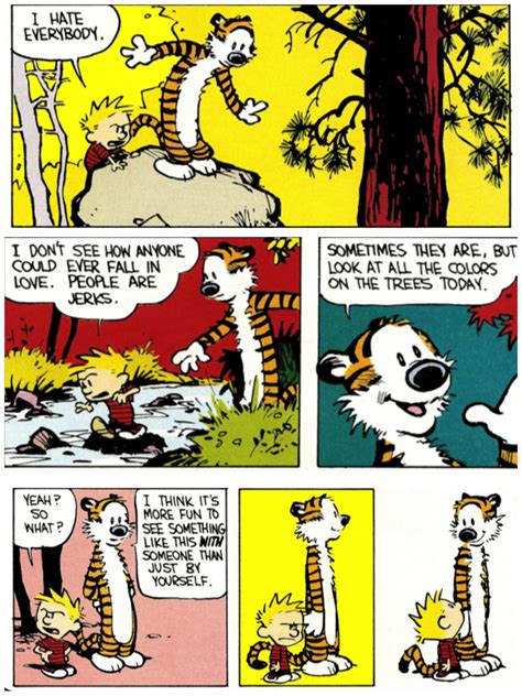 Calvin And Hobbes Comics Love