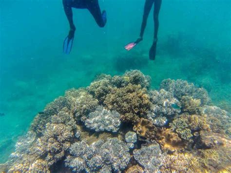 37 Stunning Photos Of The Whitsundays Queensland